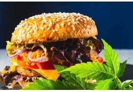 Le burger au CBD : notre recette