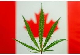 La légalisation du cannabis au Canada : bilan