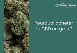 Pourquoi acheter du CBD en gros ?