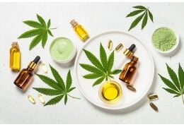 Quelle est la forme de CBD la plus efficace ?