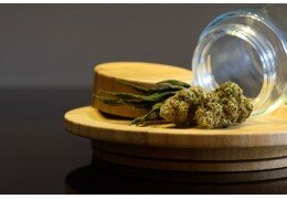 THC-X : définition, effets et danger