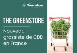 The Greenstore : nouveau grossiste de CBD en France