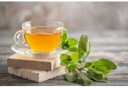 Tisane CBD : avis et bienfaits