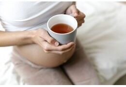 Tisane au CBD : les risques liés à la grossesse