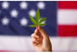 La majorité des Américains sont en faveur de la légalisation du cannabis