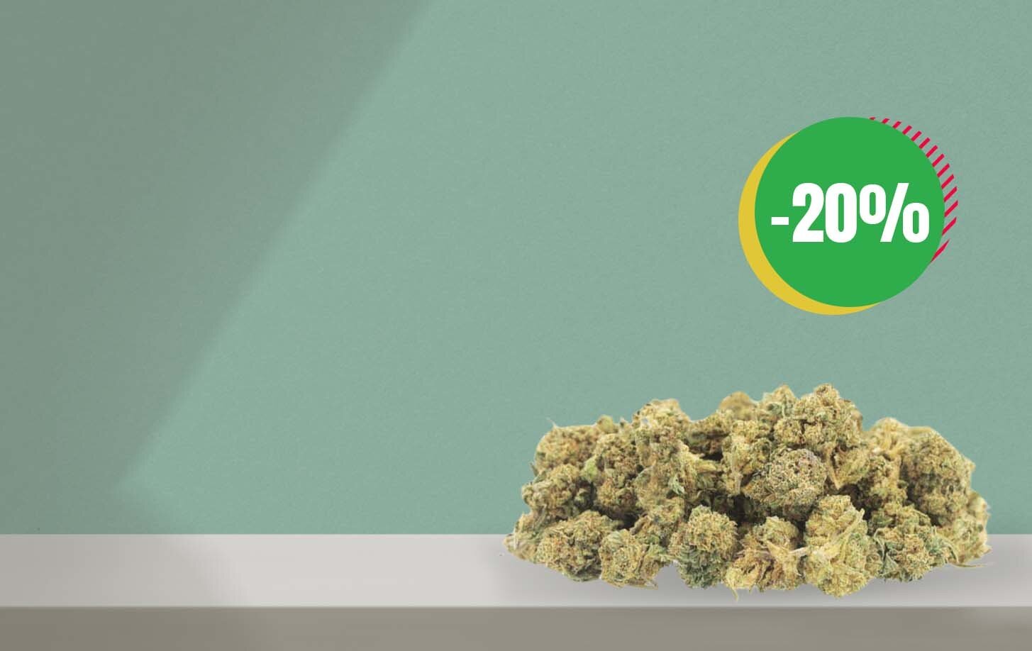 Jamaican Dream : Une Small Bud puissante