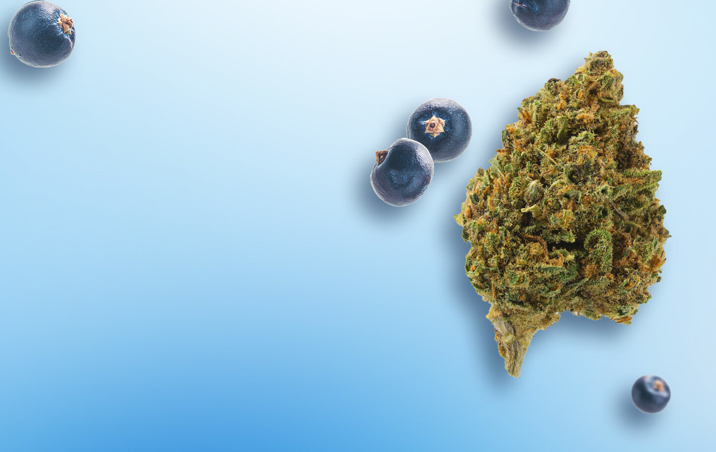 Blueberry Small Bud: Słodka ucieczka z 13% CBD
