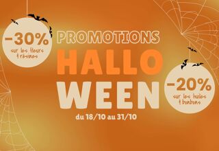 Promotions Halloween CBD