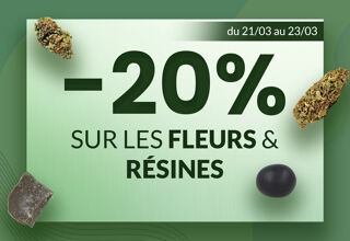 Promos Thegreenstore -20% sur les fleurs et résines