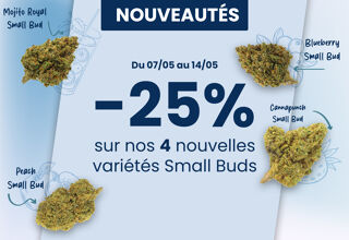 -25% zniżki na nasze 4 nowe kwiaty Small Bud
