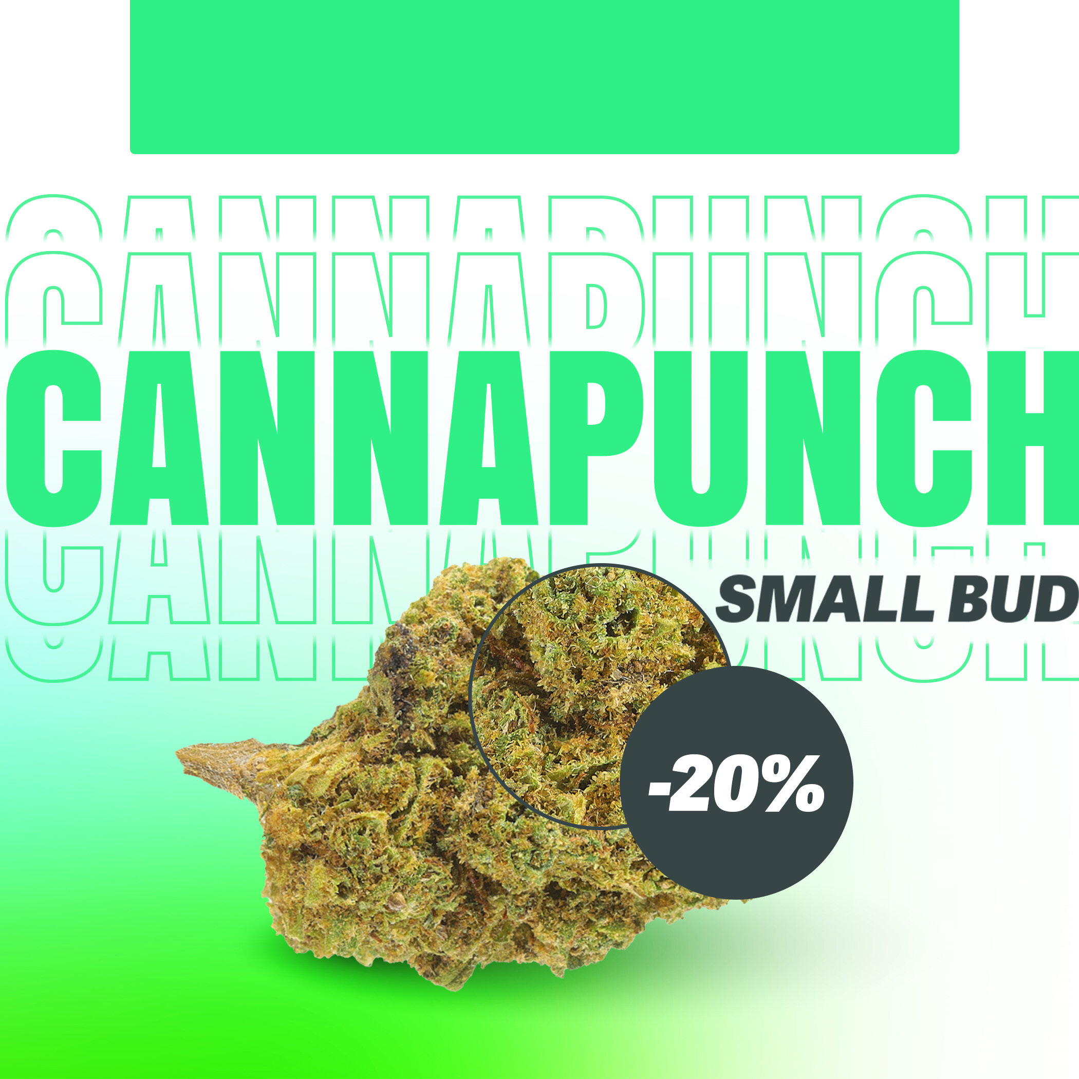 Flor del Mes: Cannapunch Pequeño Cogollo 20% de descuento