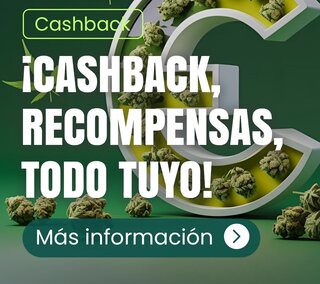 sistema de fidelización
