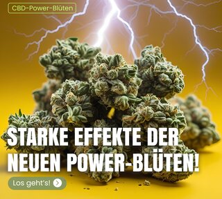 blumenpower