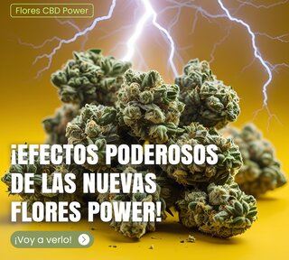 flores poder