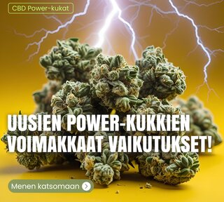 kukkia voimaa