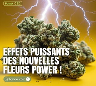 fleurs power
