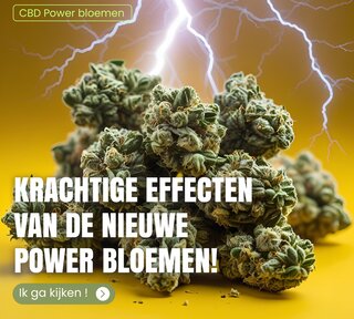 bloemen kracht