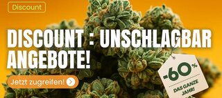 cbd discount